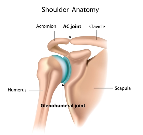 Shoulder Separation (AC Joint Dislocation)