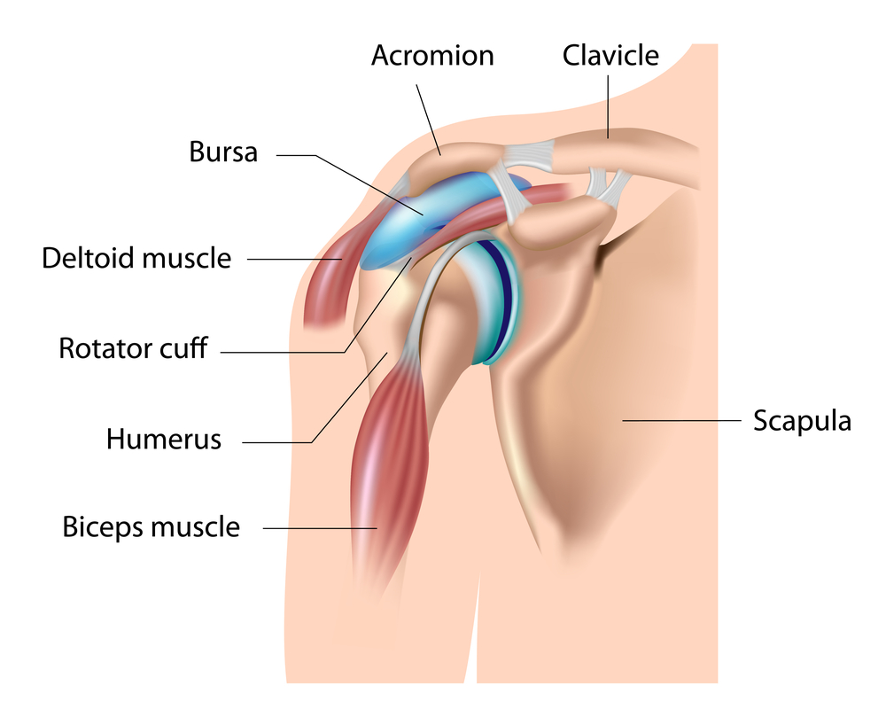 Why Does Shoulder Pain Occur? What Can I Do To Stop It?