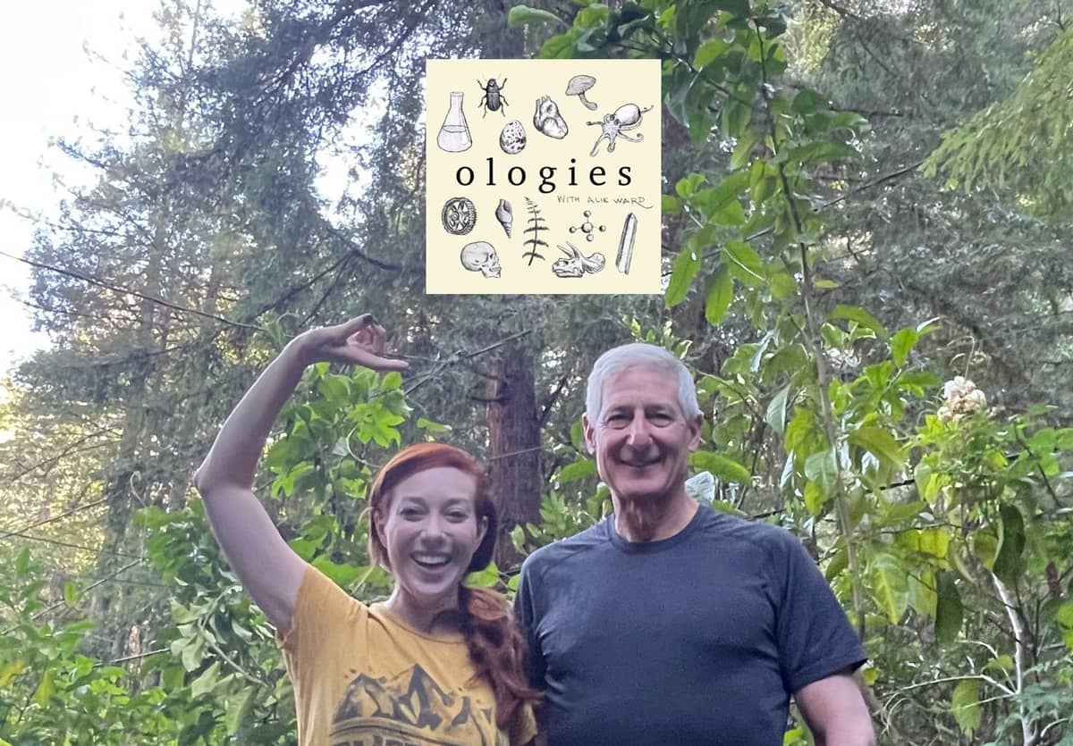 Kevin R. Stone, MD Ologies Podcast: Genicular Traumatology (BAD KNEES)